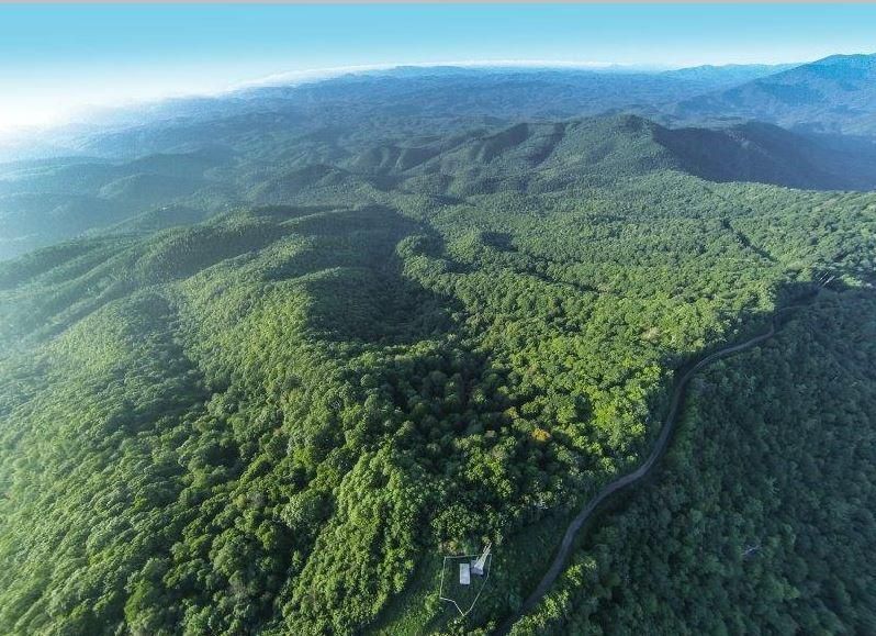 2680 Harold Witt Rd, Tellico Plains, TN 37385