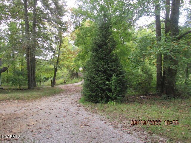 269 Huckeby Rd, Robbins, TN 37852
