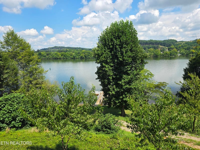 269 Lakeshore Vista Dr, Kingston, TN 37763