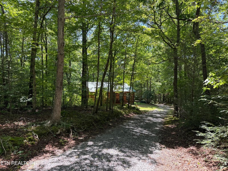 2696 Rafter Rd, Tellico Plains, TN 37385