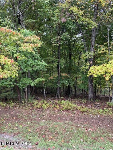 27 Chatham Ct, Fairfield Glade, TN 38558