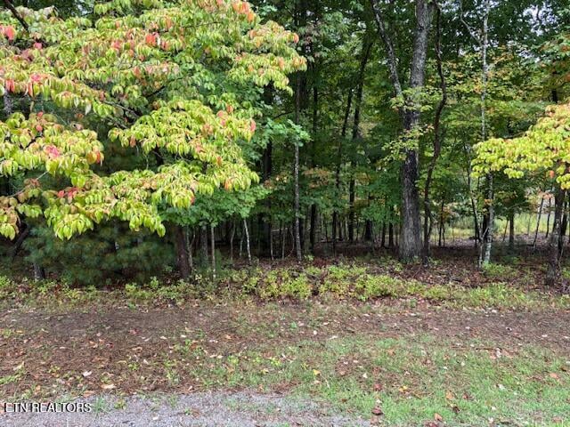 27 Chatham Ct, Fairfield Glade, TN 38558