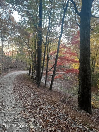 27.42 AC Black Mountain Road Rd, Tellico Plains, TN 37385