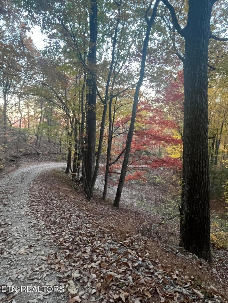 27.42 AC Black Mountain Road Rd, Tellico Plains, TN 37385
