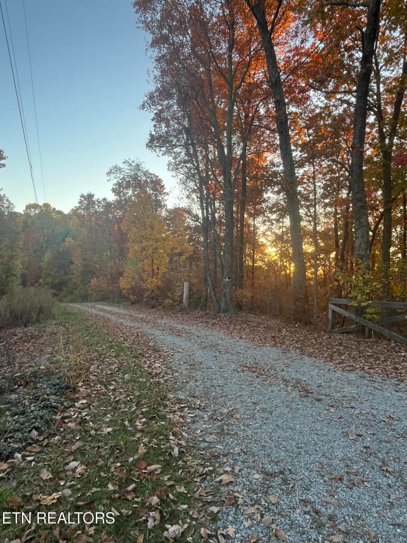 27.42 AC Black Mountain Road Rd, Tellico Plains, TN 37385