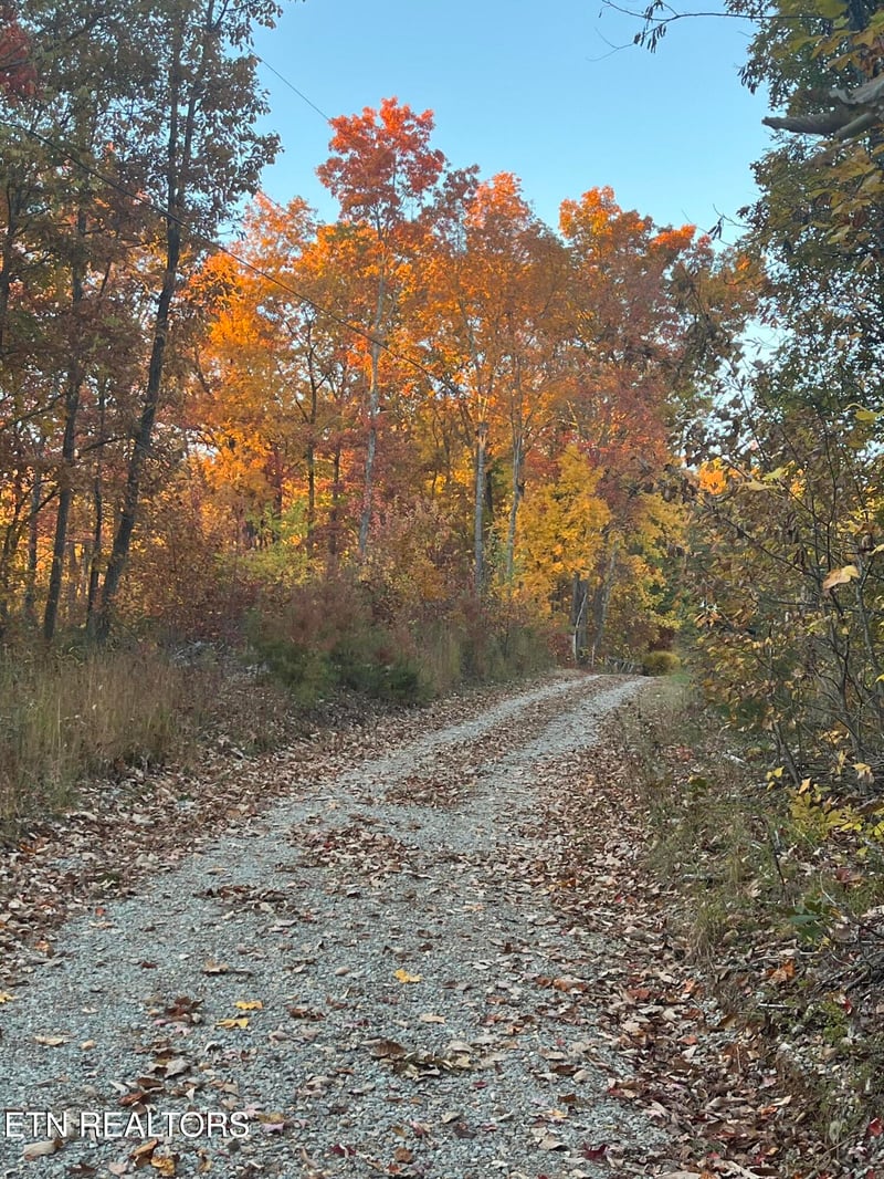 27.42 AC Black Mountain Road Rd, Tellico Plains, TN 37385