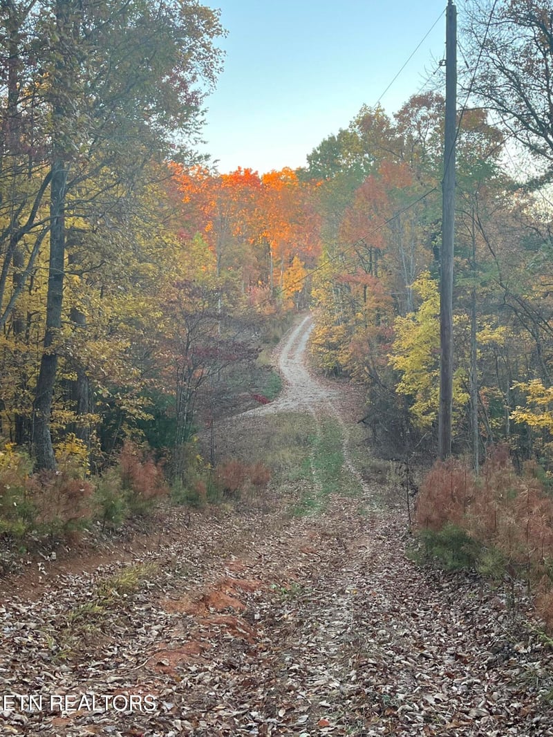 27.42 AC Black Mountain Road Rd, Tellico Plains, TN 37385