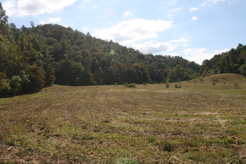 270 Dewey Davis Rd, Walland, TN 37886