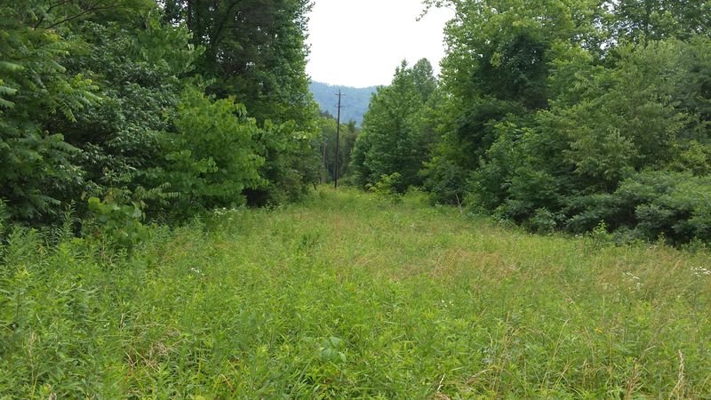2703 Allegheny Loop Rd, Maryville, TN 37803