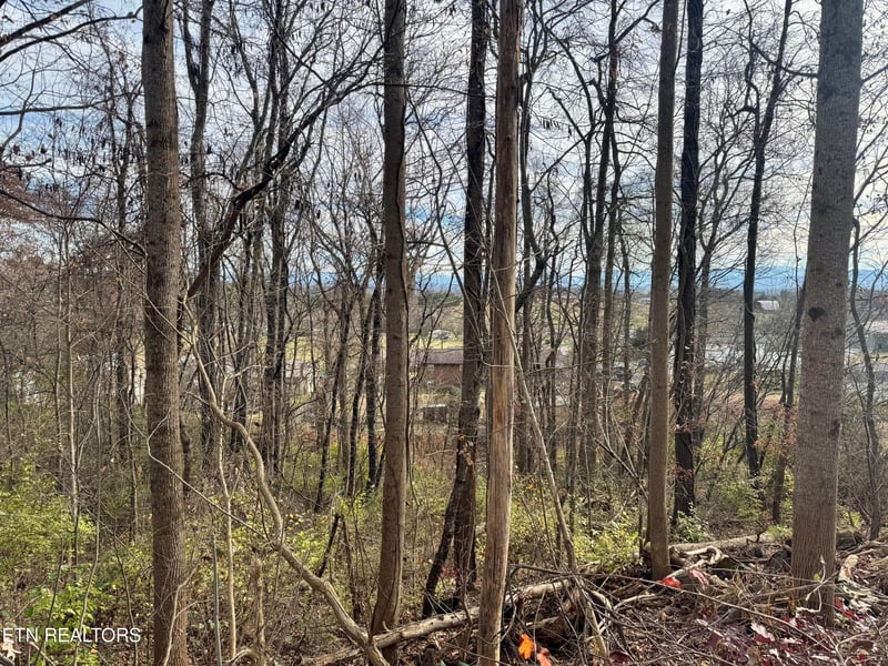271 Sequoyah Dr, Morristown, TN 37813