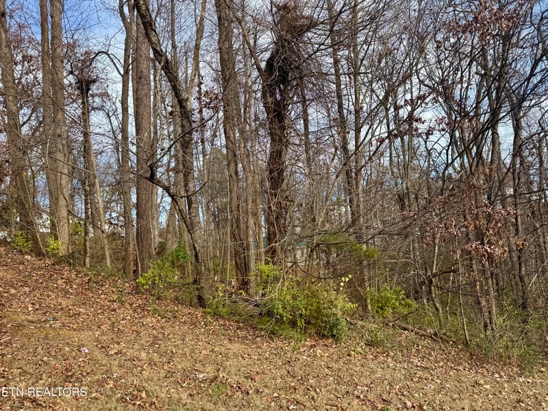 271 Sequoyah Dr, Morristown, TN 37813