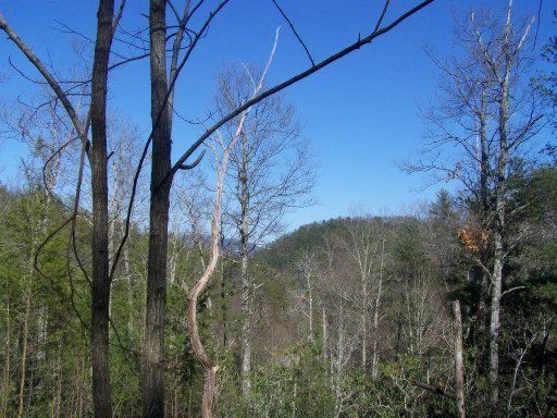 272 Cobblestone Way, Townsend, TN 37882