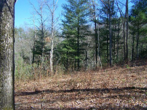 272 Cobblestone Way, Townsend, TN 37882