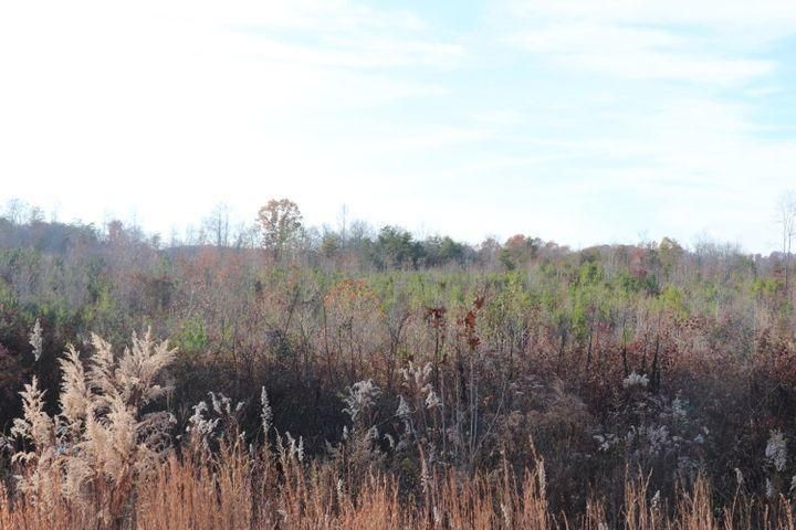 272 County Road 635, Athens, TN 37303