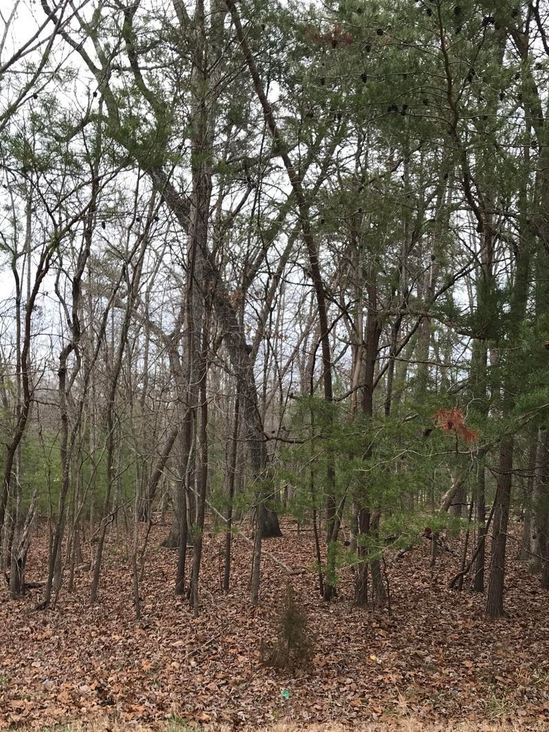 273 Forest Hill Dr, Crossville, TN 38558