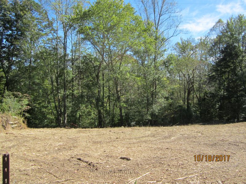 273 Sequoyah Rd, Andersonville, TN 37705