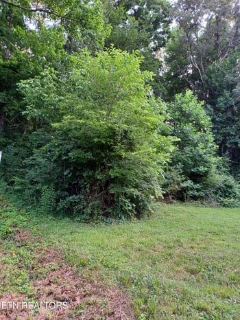 2732 Willocks Ave, Maryville, TN 37804