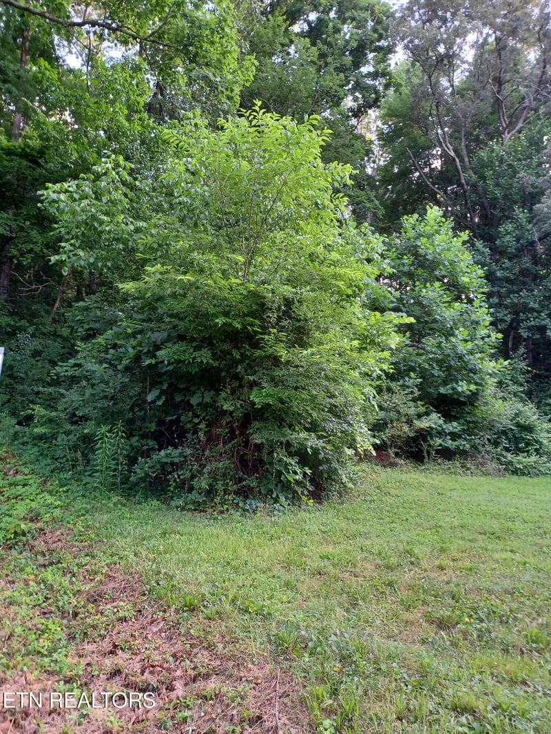 2732 Willocks Ave, Maryville, TN 37804