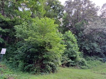 2732 Willocks Ave, Maryville, TN 37804