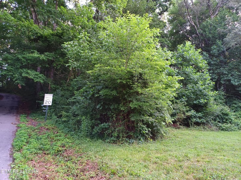 2732 Willocks Ave, Maryville, TN 37804
