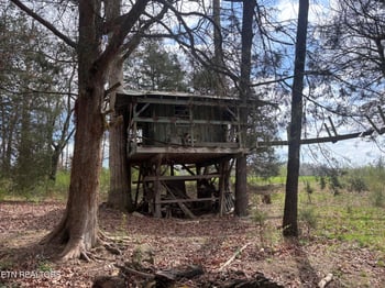 2733 Shipe Rd, Mascot, TN 37806