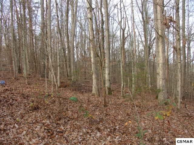 2740 Maplecrest Ln, Sevierville, TN 37862