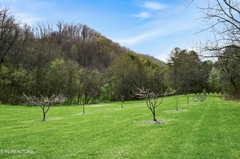 2740 Mccammon Rd, Rockford, TN 37853
