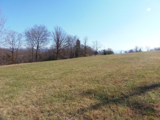 2748 Meadow Rd, Greenback, TN 37742