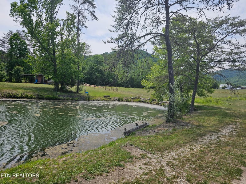 275 Republican Hill Rd, Newcomb, TN 37819