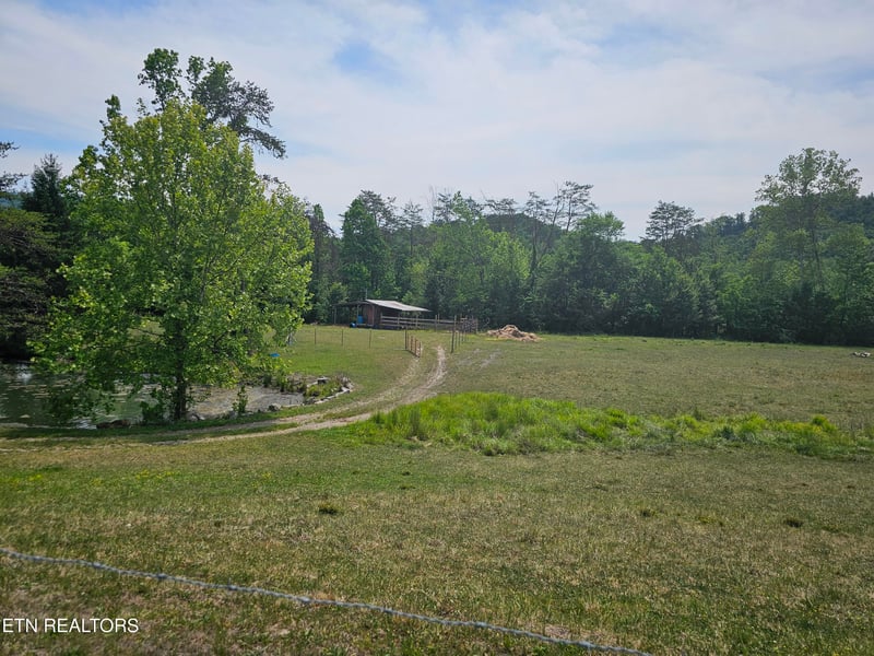 275 Republican Hill Rd, Newcomb, TN 37819