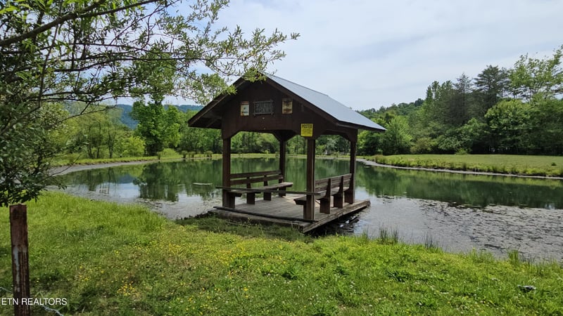 275 Republican Hill Rd, Newcomb, TN 37819