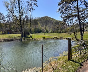 275 Republican Hill Rd, Newcomb, TN 37819