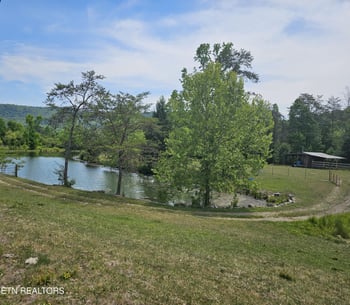 275 Republican Hill Rd, Newcomb, TN 37819