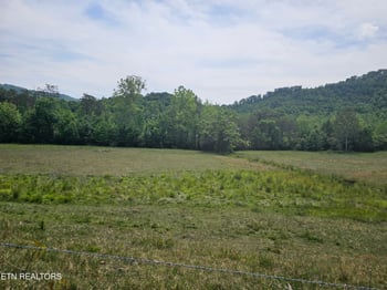275 Republican Hill Rd, Newcomb, TN 37819