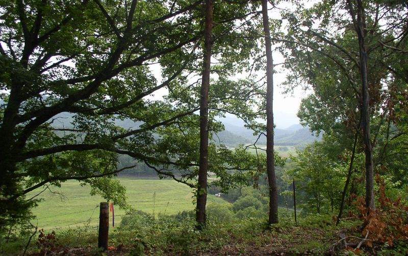 2756 Dogwood Loop Dr, Sevierville, TN 37876