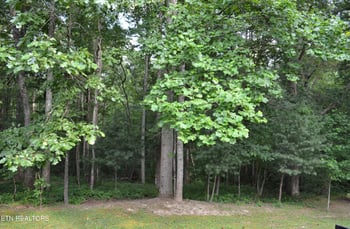 2759 Deer Lodge Hwy, Sunbright, TN 37872