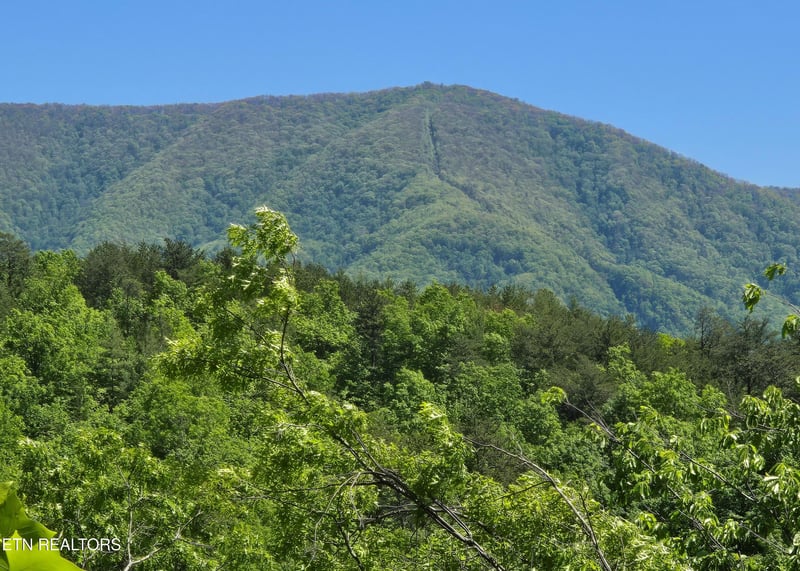 2759 Hatcher Mountain Rd, Sevierville, TN 37862
