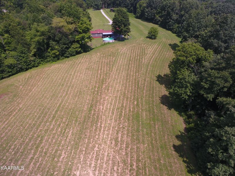 2765 Oak Grove Rd, Rocky Top, TN 37769