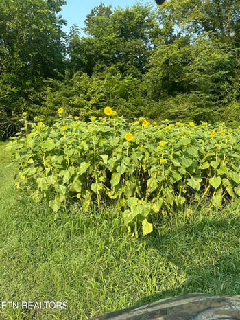 277 County Road 408, Englewood, TN 37329