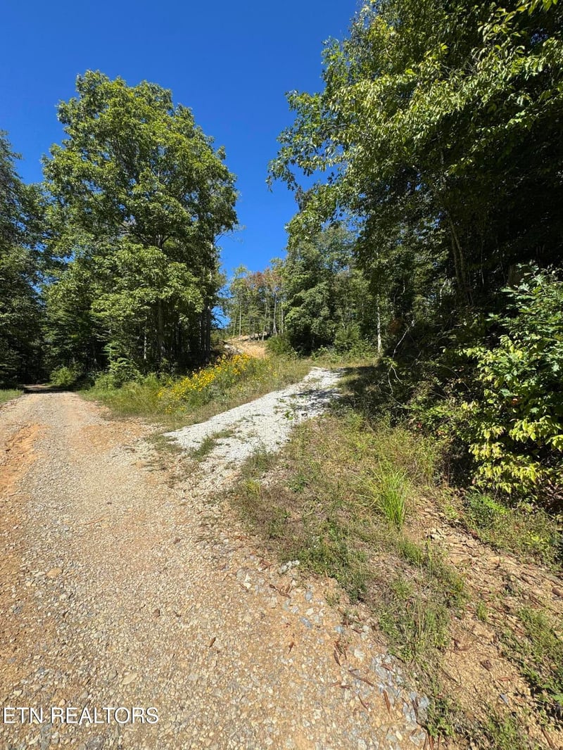 2774 Stanley Creek Rd, Oneida, TN 37841