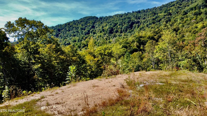 2774 Stanley Creek Rd, Oneida, TN 37841