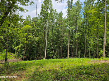 278 Norman Rd Lot 5, Powell, TN 37849