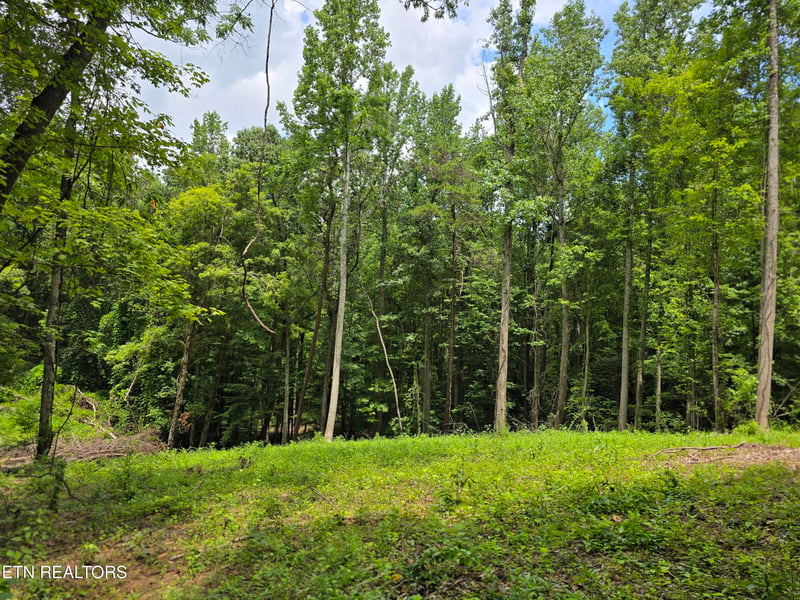 278 Norman Rd Lot 5, Powell, TN 37849