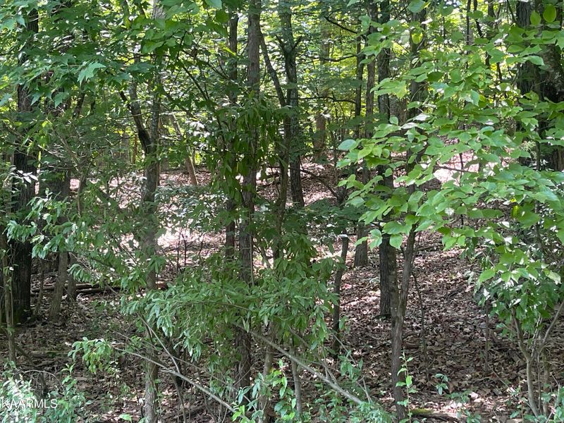 278 Ootsima Way, Loudon, TN 37774