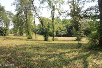 28.6 Acres 4th St, Englewood, TN 37329