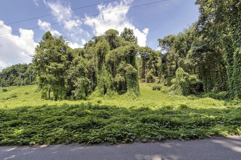 2807 Williams Rd, Knoxville, TN 37932