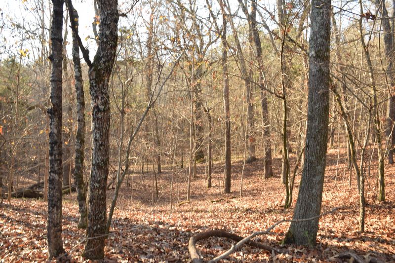281 Deer Run Rg, Kingston, TN 37763
