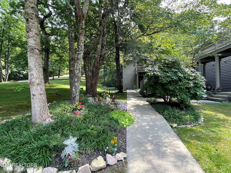 281 Moytoy Rd U 202 Rd #202, Crab Orchard, TN 37723