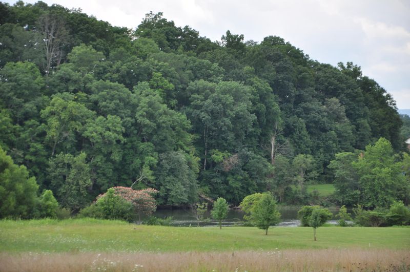 2811 River Island Blvd, Kodak, TN 37764