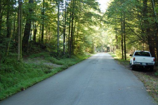 2818 River Rd, Tellico Plains, TN 37385